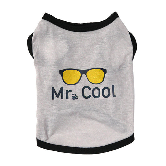 Mr. Cool