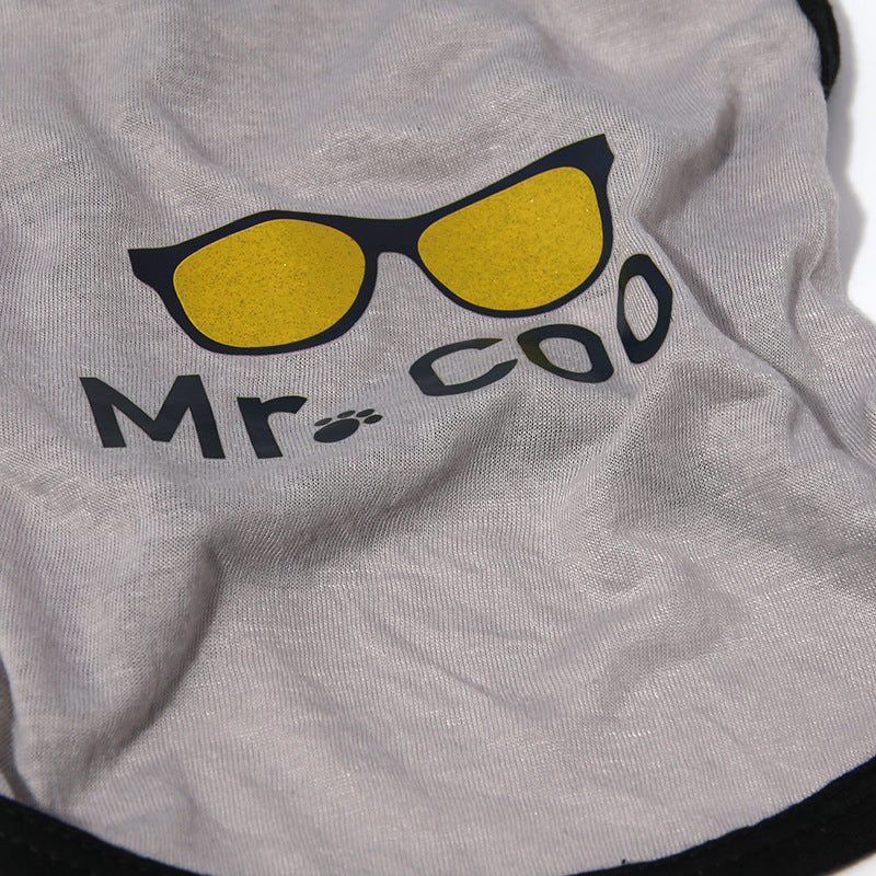 Mr. Cool